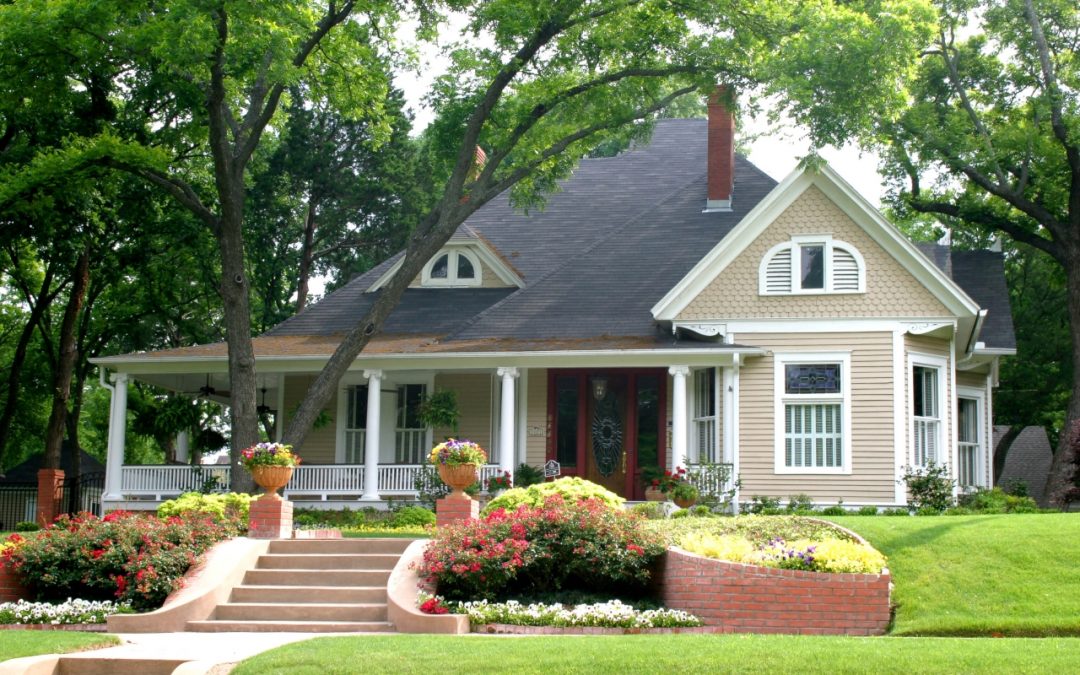 6 Tips for Maintaining Your Trees